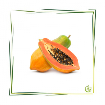 Papaya Extrakt 5 l